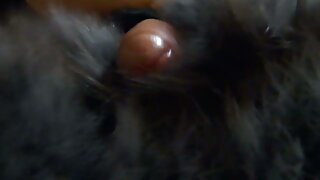 Les seins juteux de la Japonaise x porno porno x porno Kasumi Uehara tremblent en se faisant baiser
